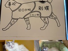 -有喵·猫咖·狗咖·40+猫狗有小奶狗(岗厦店)