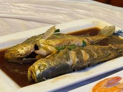 -宾朋海鲜饭庄(兴海路店)