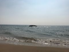 -北戴河东海水浴场