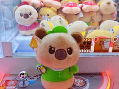 -可爱抓 COCO  GOTCHA(天津鹏欣水游城店)