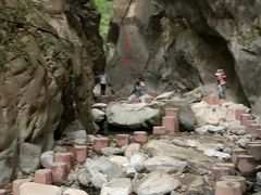 -黑河国家森林公园