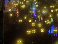 -锦江乐园舞狸花花游园会(夜场专享)
