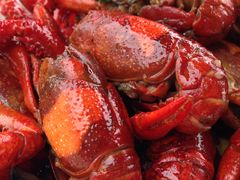 IMG_8321-霸王虾·麻辣小龙虾(清水河公园店)