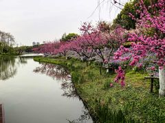 -圩墩遗址公园