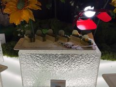 -松咖啡自助餐厅·松北香格里拉