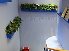 -I-Shine英语国际教育(大三林中心)