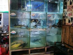 水产区-蛙鱼道美蛙鱼自助火锅(新耍都店)