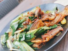 四川回锅肉-望京一号(请您到博雅店用餐·博雅店)
