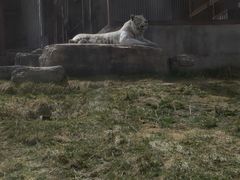 -太原动物园