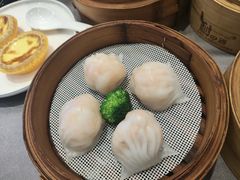 -东方御宴海鲜酒楼(棕泉酒店)