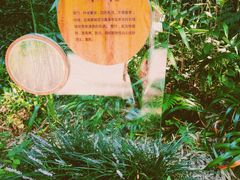 -桤木河湿地公园