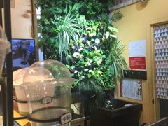 -三佰瑞冻酸奶(凯德MALL店)