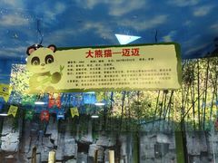 -栾川竹海野生动物园