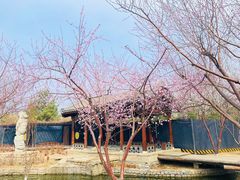 -三里河公园