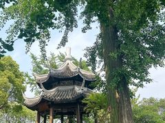 -狼山风景名胜区