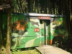 -武陵山森林公园
