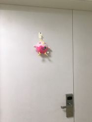 -上海市长宁区妇幼保健院