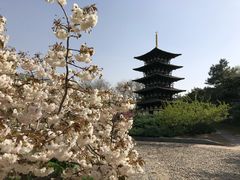 -北京世界公园