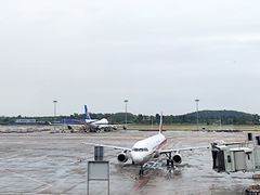 -郑州新郑国际机场-T2航站楼