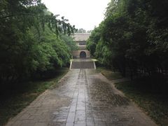 -灵谷景区