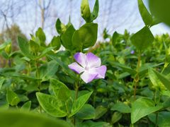 -白塘生态植物园