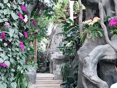 -郑州植物园