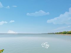 -贡湖湾湿地公园