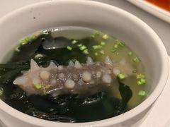 -金春禧(世茂国际广场店)