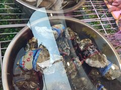 -陕北四窑洞(巨丰店)