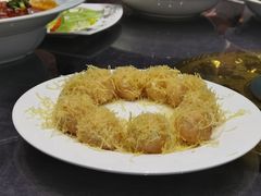 -丁老爷子苏香圆