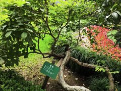 -上海宋庆龄故居纪念馆
