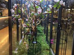 -拈菜(观音桥阳光世纪店)