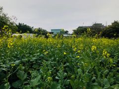 -新合益乡村农庄