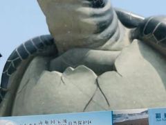 -广东惠东海龟国家级自然保护区