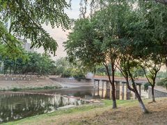 -东坝千亩湖公园