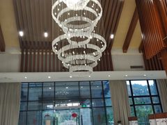 大堂-品泉餐厅·大盆鱼·走地鸡