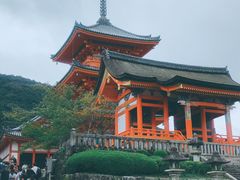 -有栖山 清光院 清水寺