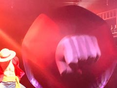 -东京塔海贼王主题公园