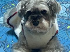 -维也纳国际机场