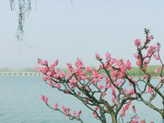 -颐和园