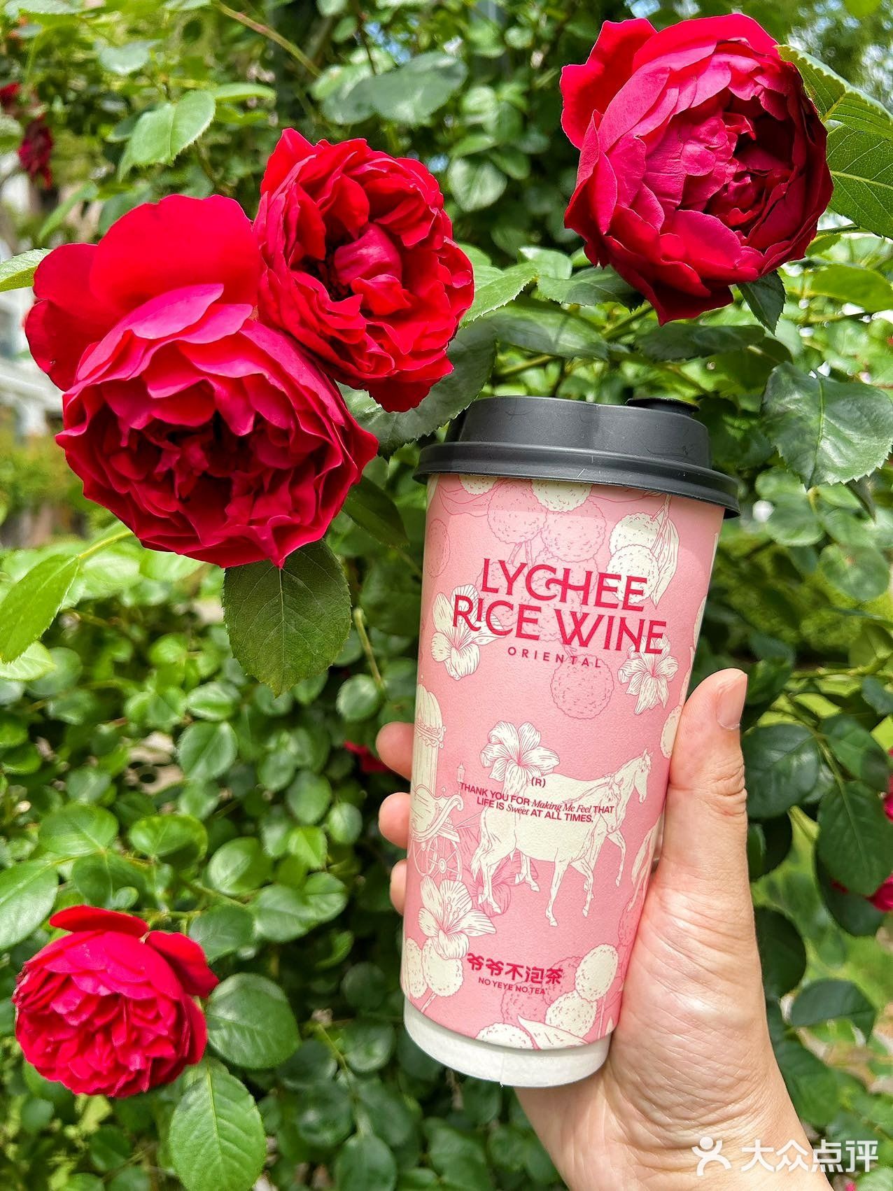 一城一花一杯茶🥤！