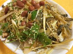 -鸽王世家(东华东路店)