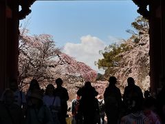 -醍醐寺