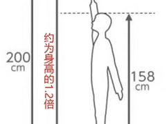 -居丽装饰空间设计(总部)