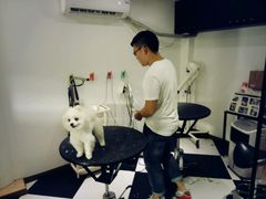 -Oh My Dog宠物沙龙(伊珊娜皮毛护理店)