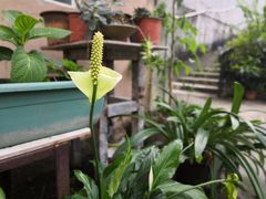 -广州市紫泥堂文化创意园景区