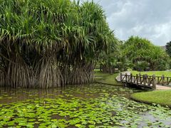 -中国科学院西双版纳热带植物园
