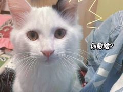 -宠福鑫动物医院(立水桥分院)