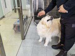 -宠福鑫康馨动物医院·骨科·眼科