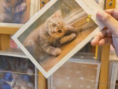 -猫的天空之城概念书店(杭州南宋御街店)